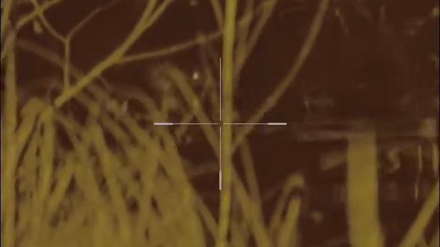 Бобр смотреть онлайн