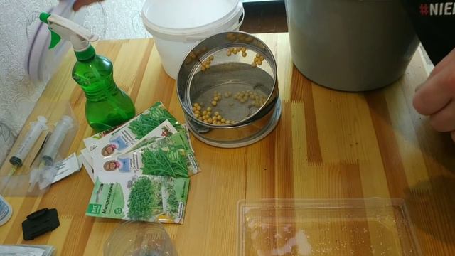 Микрозелень!!! Учимся высаживать разные семена. смотреть онлайн