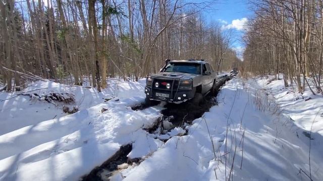 Наш добрый, Добринский лес? смотреть онлайн