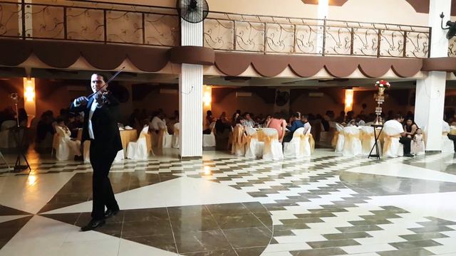 Dance Monkey - Tones And I (violin Cover) - ForteVio Electric Violin