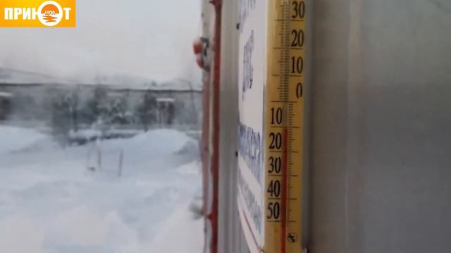 Приюту нужна ваша помощь! смотреть онлайн