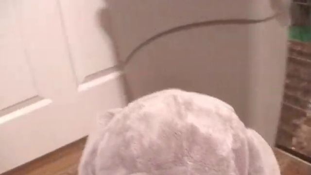 What Peanut's Up To смотреть онлайн