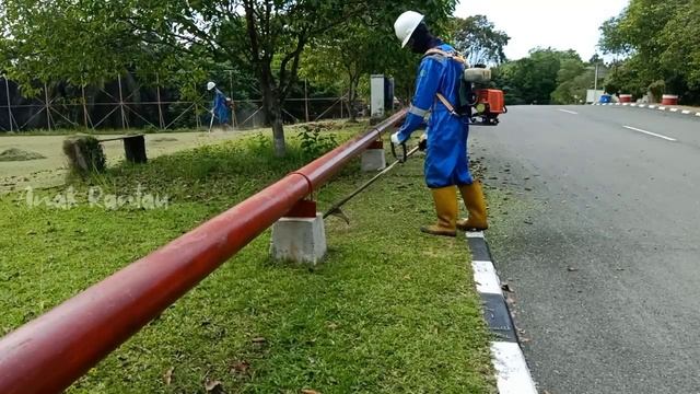 Motong rumput dipinggir troktoar смотреть онлайн