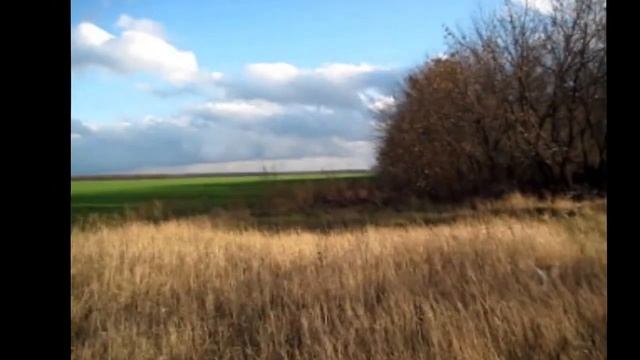 Осенний пейзаж. Яркие краски осени смотреть онлайн