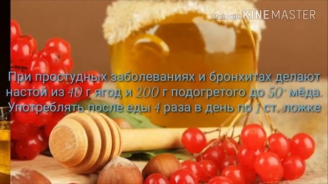 Калина - её лечебные свойства и применения смотреть онлайн