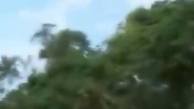 Uganda film.mp4 смотреть онлайн