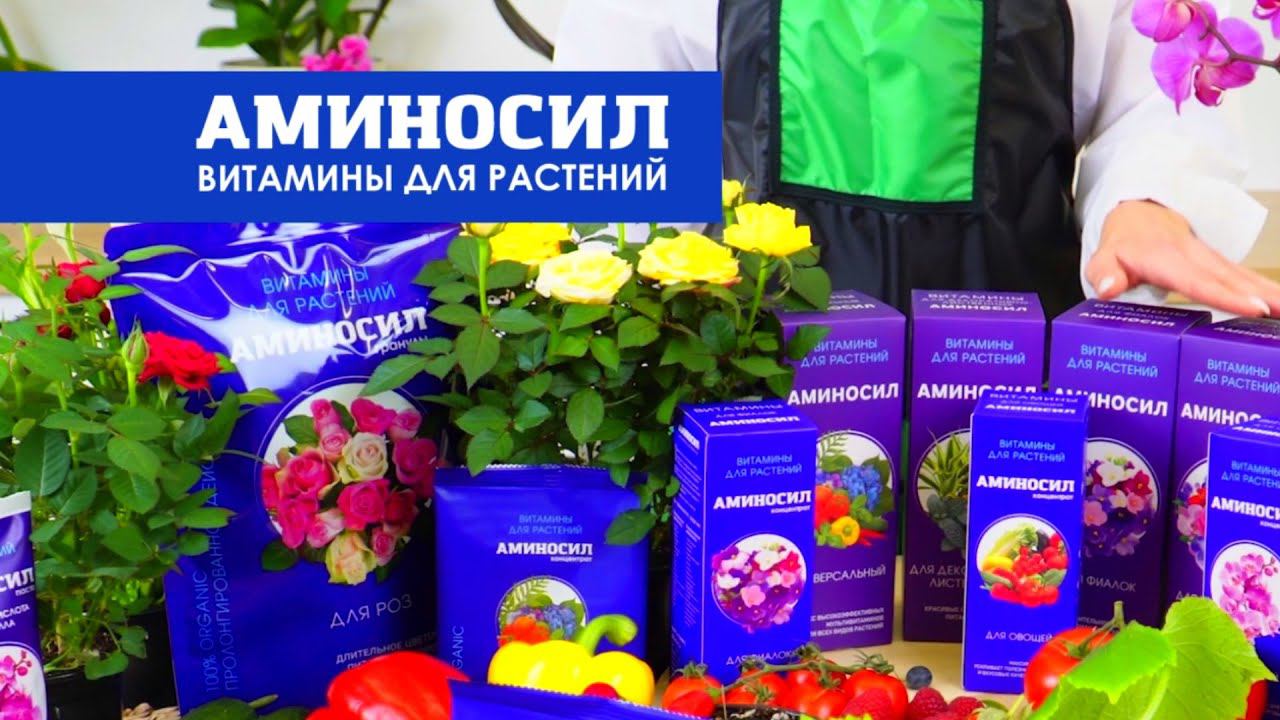 АМИНОСИЛ - удобрение для орхидей и комнатных растений. ЭКСПЕРИМЕНТ.