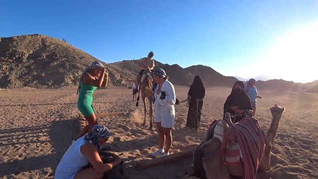 Египет В 60 лет на квадроцикле. Сафари, верблюды и бедуины. Классная экскурсия. смотреть онлайн