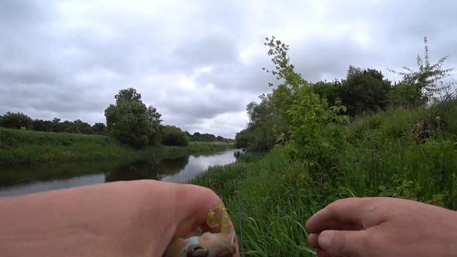 Кто мне попался на ультралайт? Щука рвет плетню 2021! смотреть онлайн