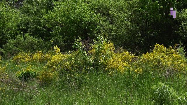 Kurzandachten aus St. Lorenz zum 29. Mai 2022 смотреть онлайн