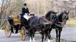 Цыганская песня "Фаэтоно"2019