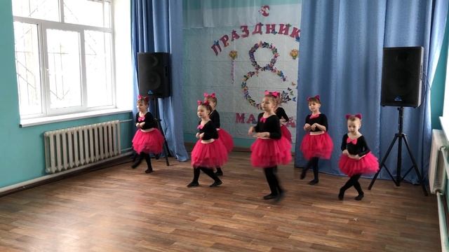 Кошка беспородная смотреть онлайн