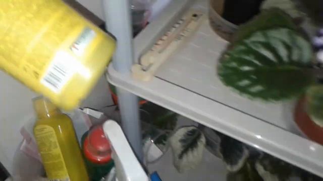 Фиалка А.В. МОНПЛЕЗИР смотреть онлайн
