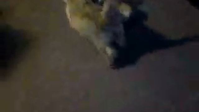 Chester shoes cairn terrier смотреть онлайн