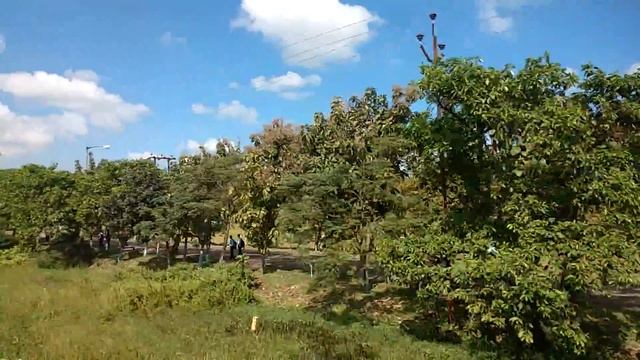 #Haldia College #hit collage #college of w.b#Haldia #Haldia Dock #Howrah to Haldia Railway station смотреть онлайн