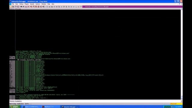 Buffer Overflow - Minishare смотреть онлайн