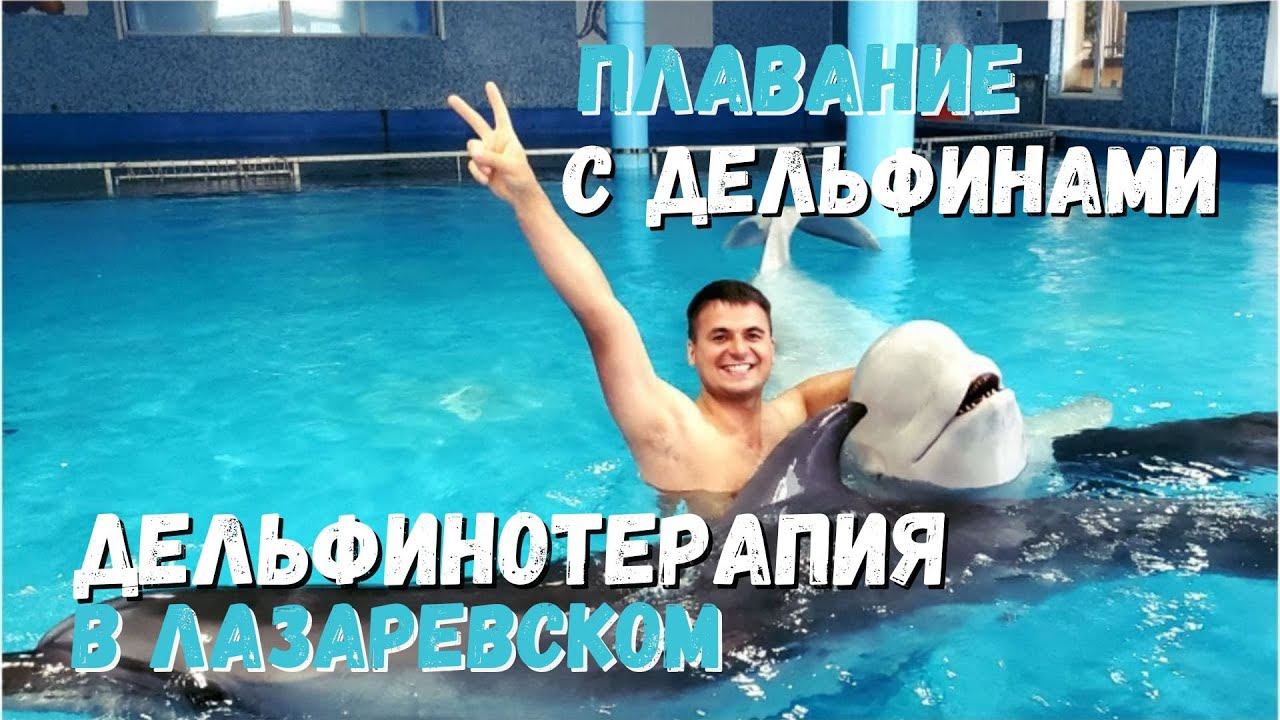 Дельфинотерапия Лазаревское. Плавание с дельфинами. смотреть онлайн