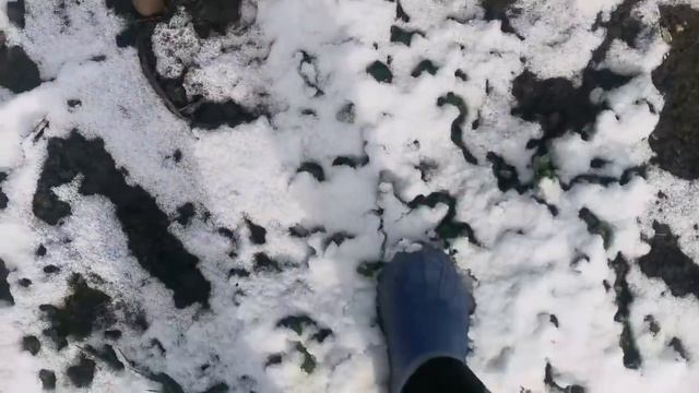 Влог :Купили Дом на Юге /Жизнь в Селе /Мама приболела /Жарю пирожки/ Массаж на дому смотреть онлайн