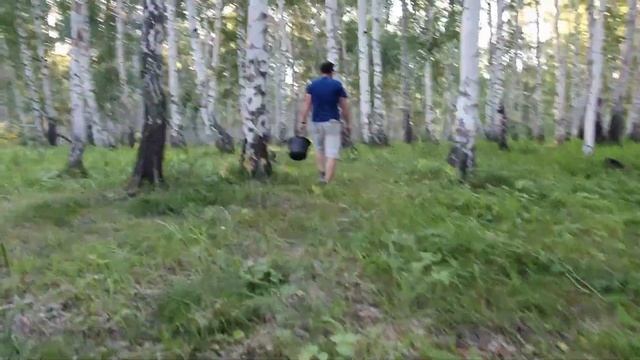 Грибов нет. смотреть онлайн