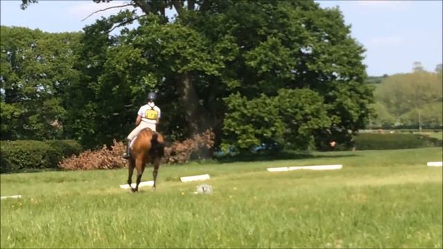 Bicton CIC* & Sapey UA 100 || Master Tarka & GCD Zergorino смотреть онлайн