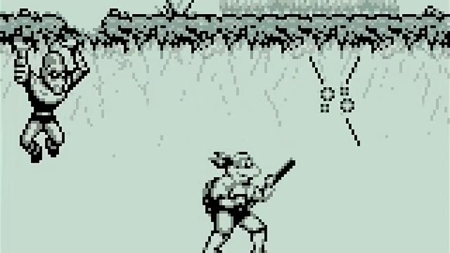 Longplay of Teenage Mutant Ninja Turtles: Fall of the Foot Clan смотреть онлайн
