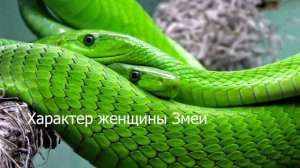 Женщина рождённая в год Змеи