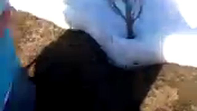 Весенний облёт пчел. Март 2015 года. смотреть онлайн