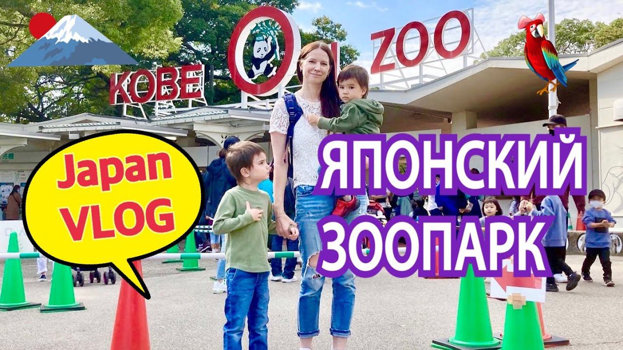 Japan VLOG. Японский зоопарк с аттракционами для маленьких детей. Отмечаем день рождения Ивана. смотреть онлайн