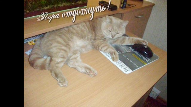 Амурчик смотреть онлайн