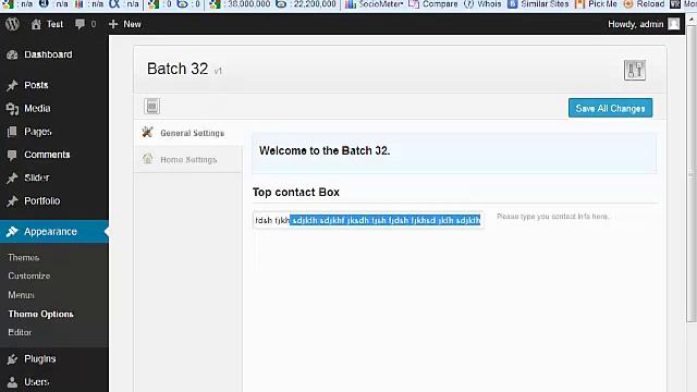 Wordpress Theme Options Advanced or Premium wordpress theme development смотреть онлайн