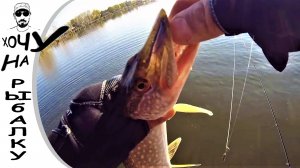 КОНЕЦ СЕНТЯБРЯ РЫБАЛКА С ЛОДКИ. щука и окунь на ультралайт