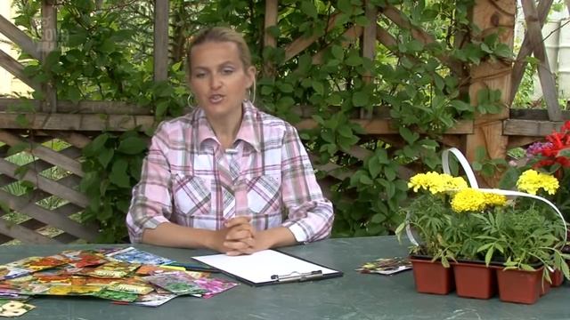 Дизайн цветников. Правила подбора цветов для цветника.Часть 1 смотреть онлайн