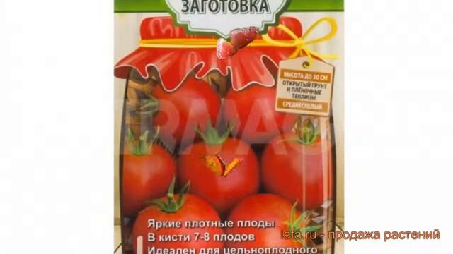 Томат обыкновенный Бемби F1 (bembi F1) 🌿 томат Бемби F1 обзор: как сажать семена томата Бемби F1