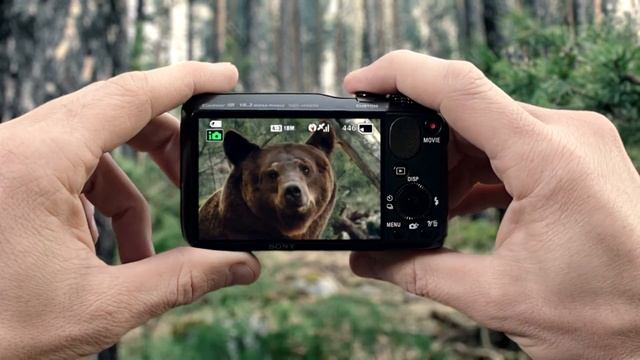Sony Cybershot, bear смотреть онлайн