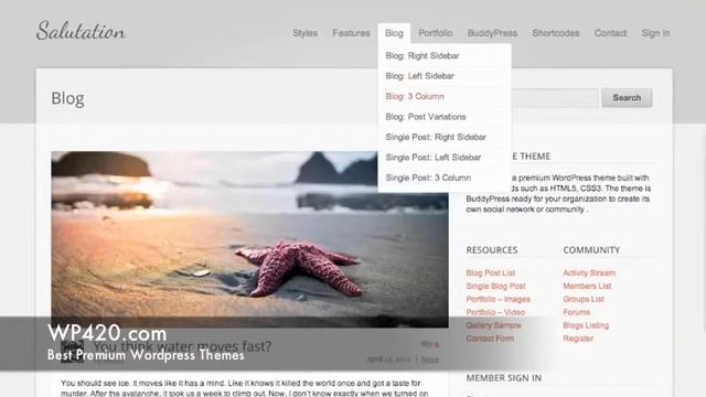 Salutation BuddyPress Wordpress Theme Demo смотреть онлайн