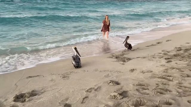 Куба смотреть онлайн