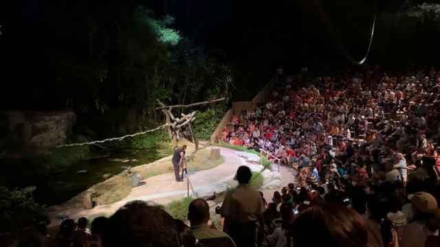 2019.03.18 2024 Singapore Zoo - Night Safari - Creatures of the Night Show смотреть онлайн