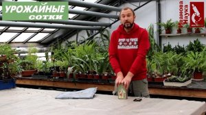 Давайте разберемся. Кокосовый субстрат или торф? А, может, перлит и диатомит? Что лучше?