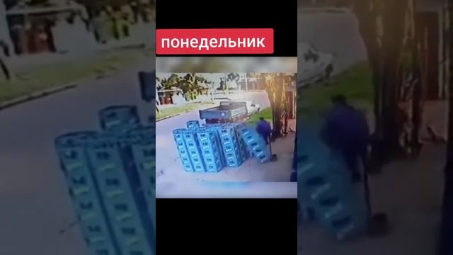 VID-20231101-WA0003.mp4 смотреть онлайн