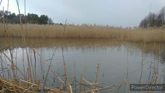 Рыбалка 2020г. в марте На поплавок!! по открытой воде! смотреть онлайн