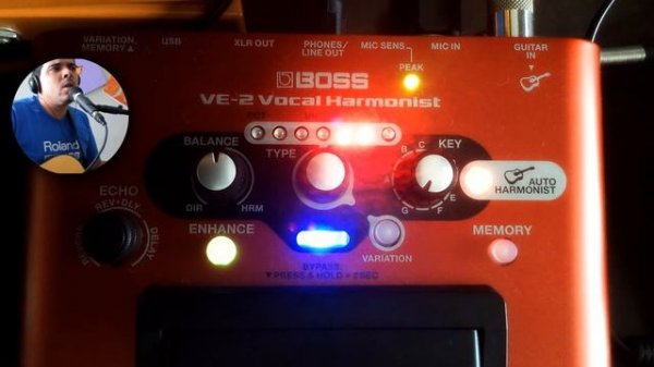 {Review} Boss VE-2 | Alex Machado