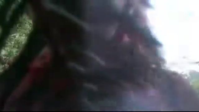 Что происходит мы заблудились в лесу!!Пропали люди! смотреть онлайн