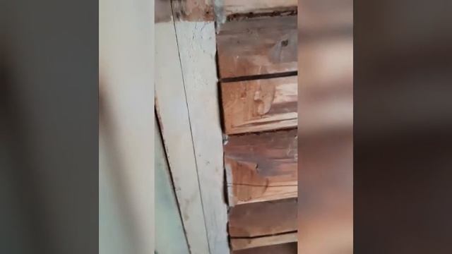 Крещенские гадания и Русская баня! смотреть онлайн