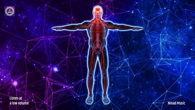 Tune Up Your Vagus Nerve | Awaken Your Body Healing Power, Heart Health & Digestive Harmony - 528 H смотреть онлайн
