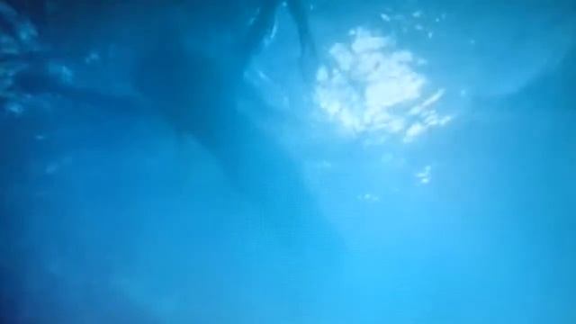 Ландо Колибри Любовь и Её конечности смотреть онлайн