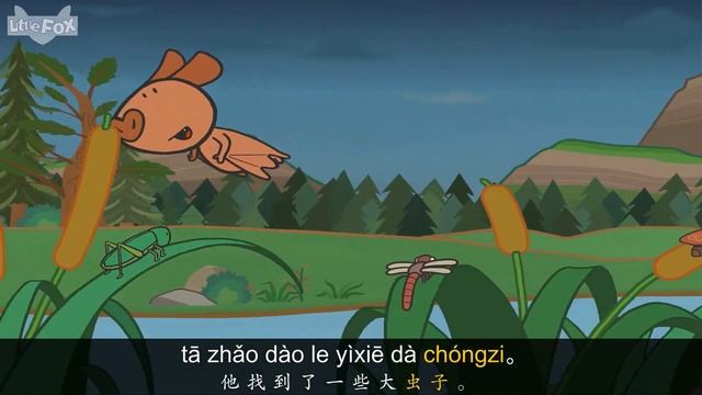 Bat And Friends 1: Hunting For Bugs (小蝙蝠和朋友们 1：找虫子) | Friendship | Chinese | By Little Fox