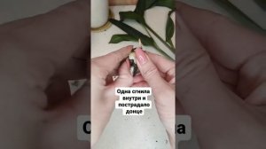 Довела свой ЭУХАРИС до гнили: показываю, что с луковицами