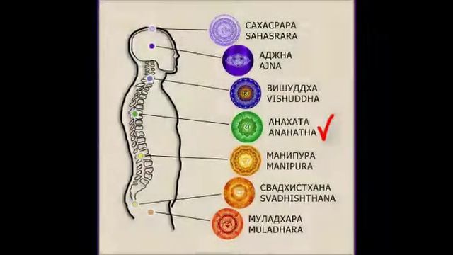 Матрица Гаряева Чакры 174Гц, 285Гц, 396Гц, 417Гц, 528Гц, 639Гц, 741Гц