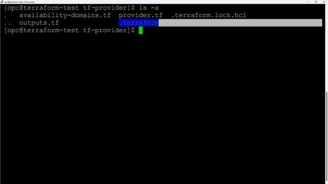 How to Run Terraform Scripts to Authenticate and Fetch Data from an OCI Tenancy смотреть онлайн