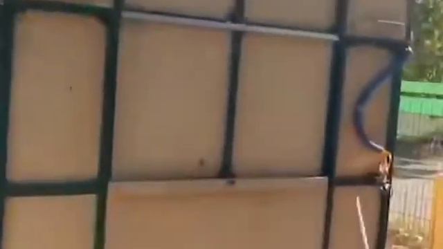 Жирафа Султана пять суток везли из Алма-Аты в Краснодар смотреть онлайн